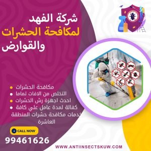 شركة مكافحة حشرات المنطقة العاشرة