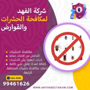 شركة مكافحة حشرات المنطقة الرابعة