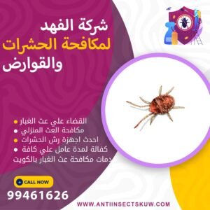 شركة القضاء علي عث الغبار بالكويت