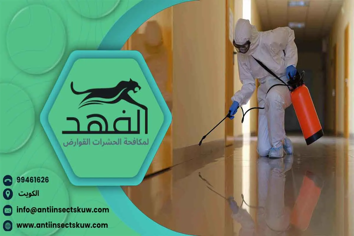 شركة مكافحة حشرات مكافحة الحشرات