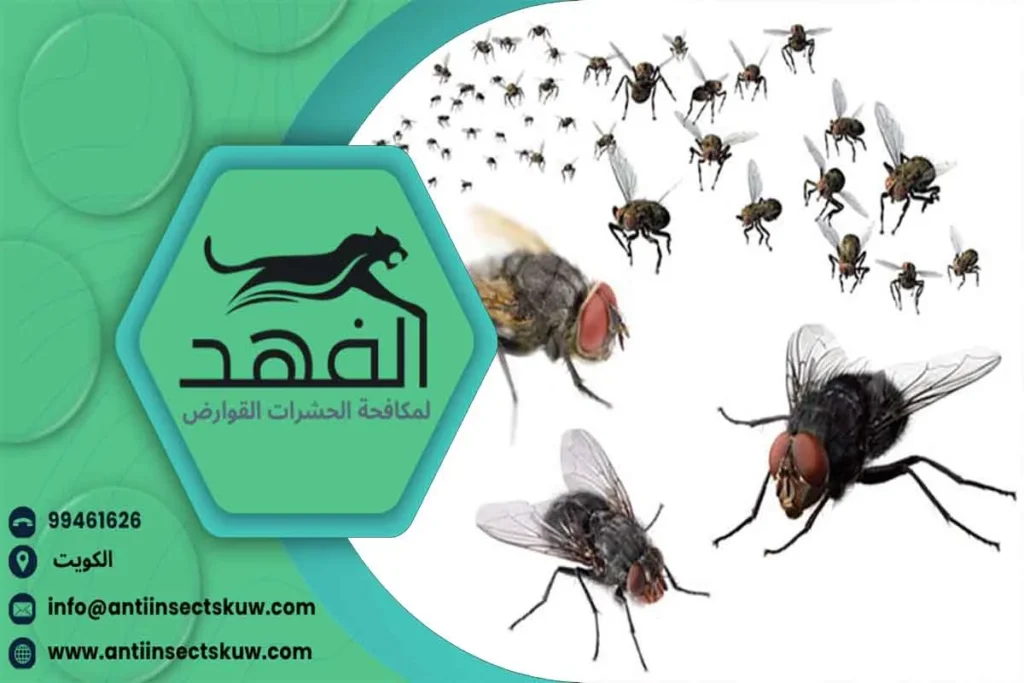 شركة مكافحة الذباب