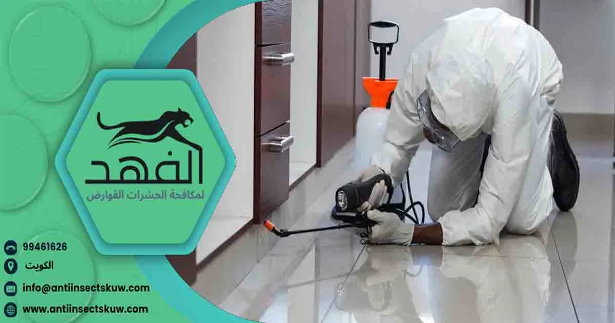 طرق مكافحة الارضة في المنزل مكافحة الارضه في المنزل مكافحة النمل الابيض في البيت مكافحة الارضة في البيت